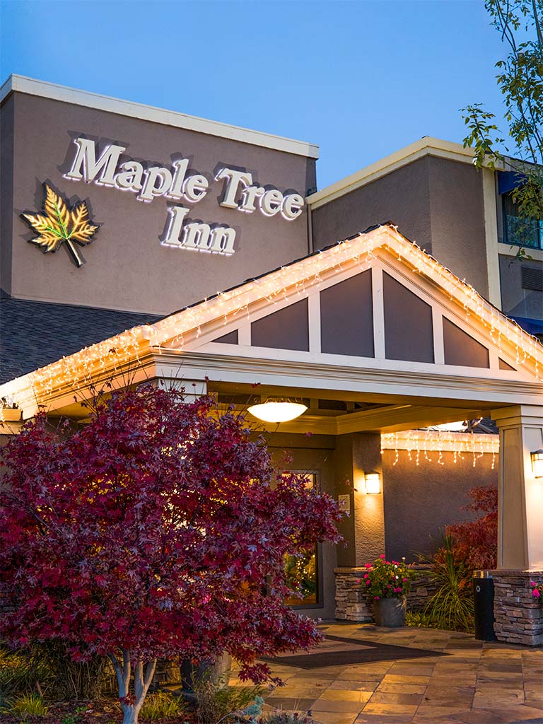 Maple Tree Inn of Silicon Valley | Sunnyvale CA Hotels