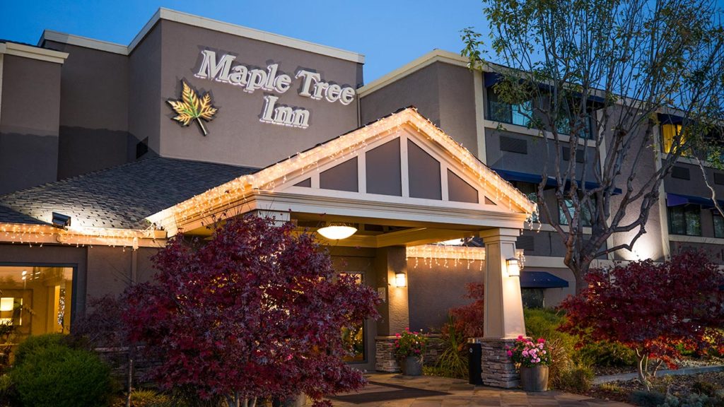 Maple Tree Inn Front Entrance At Night