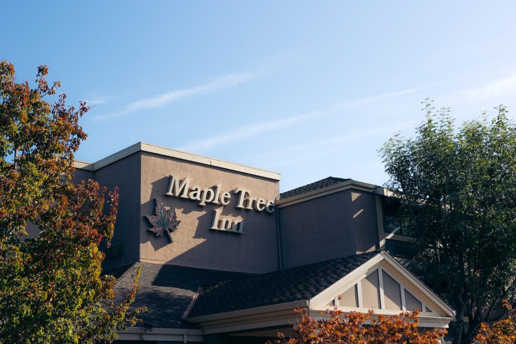 Maple Tree Inn